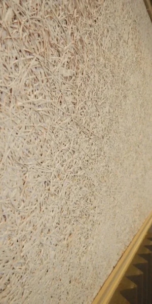 acoustic-foam-studio-1-768x1024